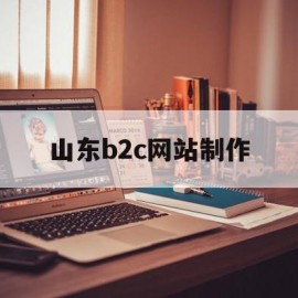 山东b2c网站制作(b2c商城网站)