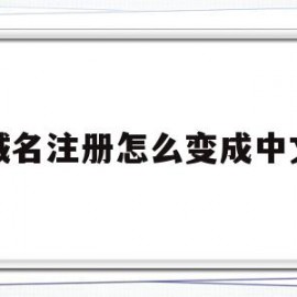 域名注册怎么变成中文(域名注册怎么变成中文了)