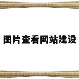 图片查看网站建设(如何查看网站图片尺寸)