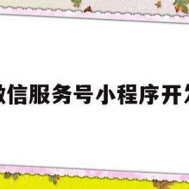 微信服务号小程序开发(微信服务号怎么注册开通)