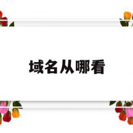 域名从哪看(域名从哪里看)