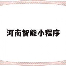 河南智能小程序(河南智能小程序开发)