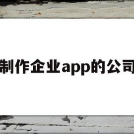 制作企业app的公司(制作企业app的公司名称)