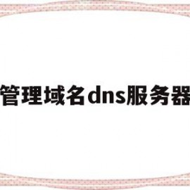 管理域名dns服务器(dns域名服务器设置)