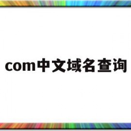 com中文域名查询(com中文域名查询网站)
