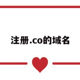 注册.co的域名(com域名注册流程)