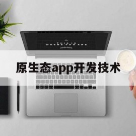 原生态app开发技术(原生态app开发多少钱)