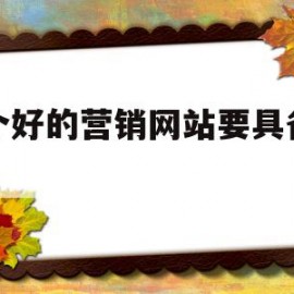 一个好的营销网站要具备什么(一个好的营销网站要具备什么条件)