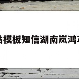 网站模板知信湖南岚鸿革新(企业网站安全湖南岚鸿认 可)