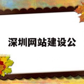 深圳网站建设公(深圳网站建设公司)