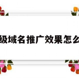 二级域名推广效果怎么样(二级域名有什么作用)