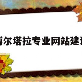 博尔塔拉专业网站建设(博尔塔拉报数字报刊平台)