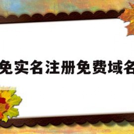 免实名注册免费域名(免费域名注册平台有哪些)
