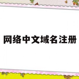 网络中文域名注册(中文域名注册费用标准)