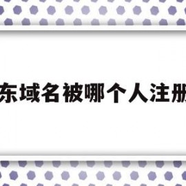 京东域名被哪个人注册了(以下哪个为京东域名正式更换为)