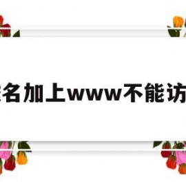 包含域名加上www不能访问的词条