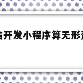 微信开发小程序算无形资产吗(微信小程序开发费用计入什么科目)