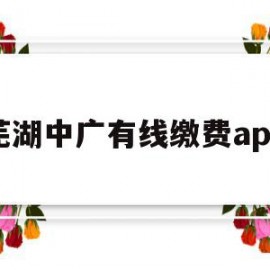 芜湖中广有线缴费app(芜湖中广有线如何网上缴费)