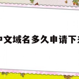 中文域名多久申请下来(中文域名申请流程)