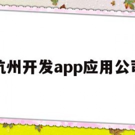 杭州开发app应用公司(杭州app开发平台)