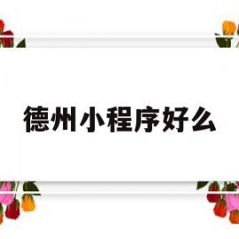 德州小程序好么(德州想玩去小程序)