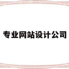 专业网站设计公司(专业网站制作设计公司)