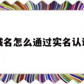 域名怎么通过实名认证(域名注册实名)