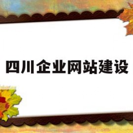 四川企业网站建设(企业网站建设的一般要素)