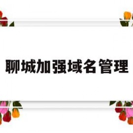 聊城加强域名管理(域名管理需要注意什么问题)