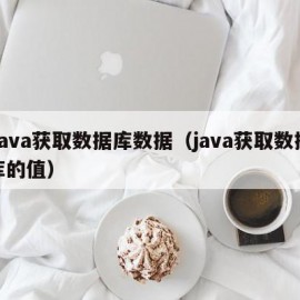 Java获取数据库数据（java获取数据库的值）