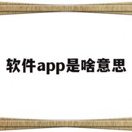 软件app是啥意思(app软件什么意思啊)
