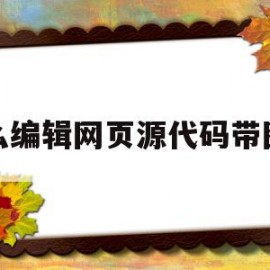怎么编辑网页源代码带图的(网页源代码图片)