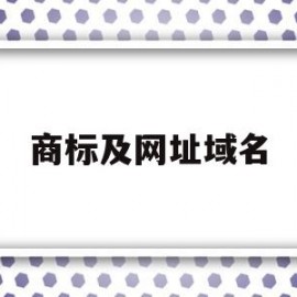 商标及网址域名(商标及网址域名怎么写)