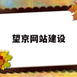 望京网站建设(北京望京网)
