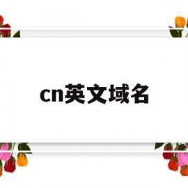 cn英文域名(英文域名是什么)