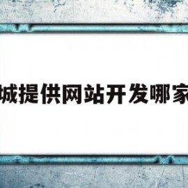 聊城提供网站开发哪家好(聊城网络科技有限公司有哪些)