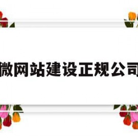 微网站建设正规公司(简述微网站的搭建要点)