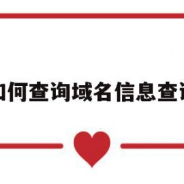 如何查询域名信息查询(如何查询域名信息查询结果)