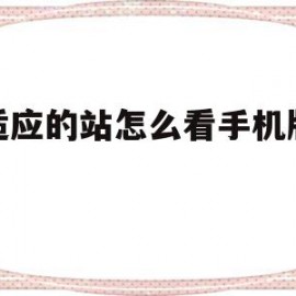 自适应的站怎么看手机版代码的简单介绍