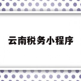 云南税务小程序(云南税务小程序怎么打不开)