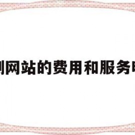 定制网站的费用和服务明细(定制网站的费用和服务明细怎么填)