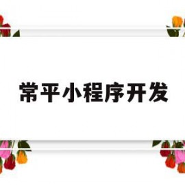 常平小程序开发(东莞市小程序电子商务有限公司)