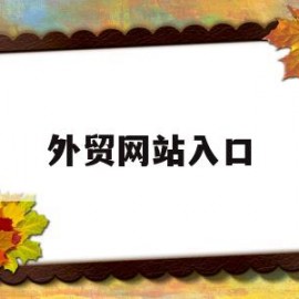 外贸网站入口(apple私人免费网站入口)