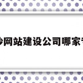 包含长沙网站建设公司哪家专业的词条