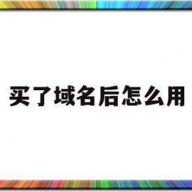 买了域名后怎么用(买了域名后怎么用手机号)