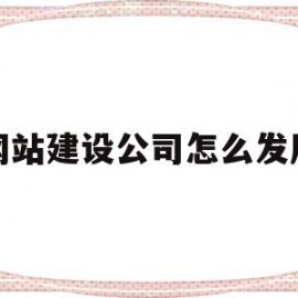网站建设公司怎么发展的简单介绍