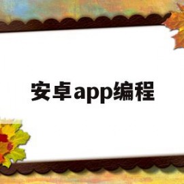 安卓app编程(安卓app编程软件)