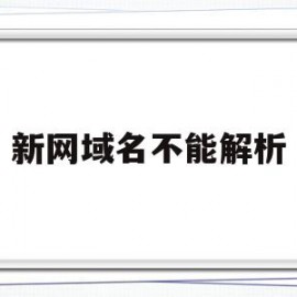 新网域名不能解析(网址域名解析失败是什么意思)