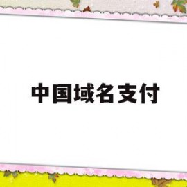 中国域名支付(中国域名交易中心官网)