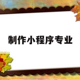 制作小程序专业(制作小程序专业知识)